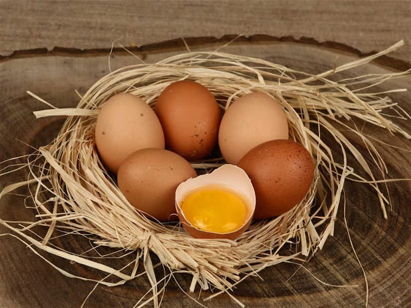 Pahalı Kafessiz Yumurtaların Arkasındaki Gizemi Çözmek için Buradayız